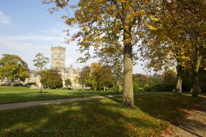 _chevin autumn7.jpg